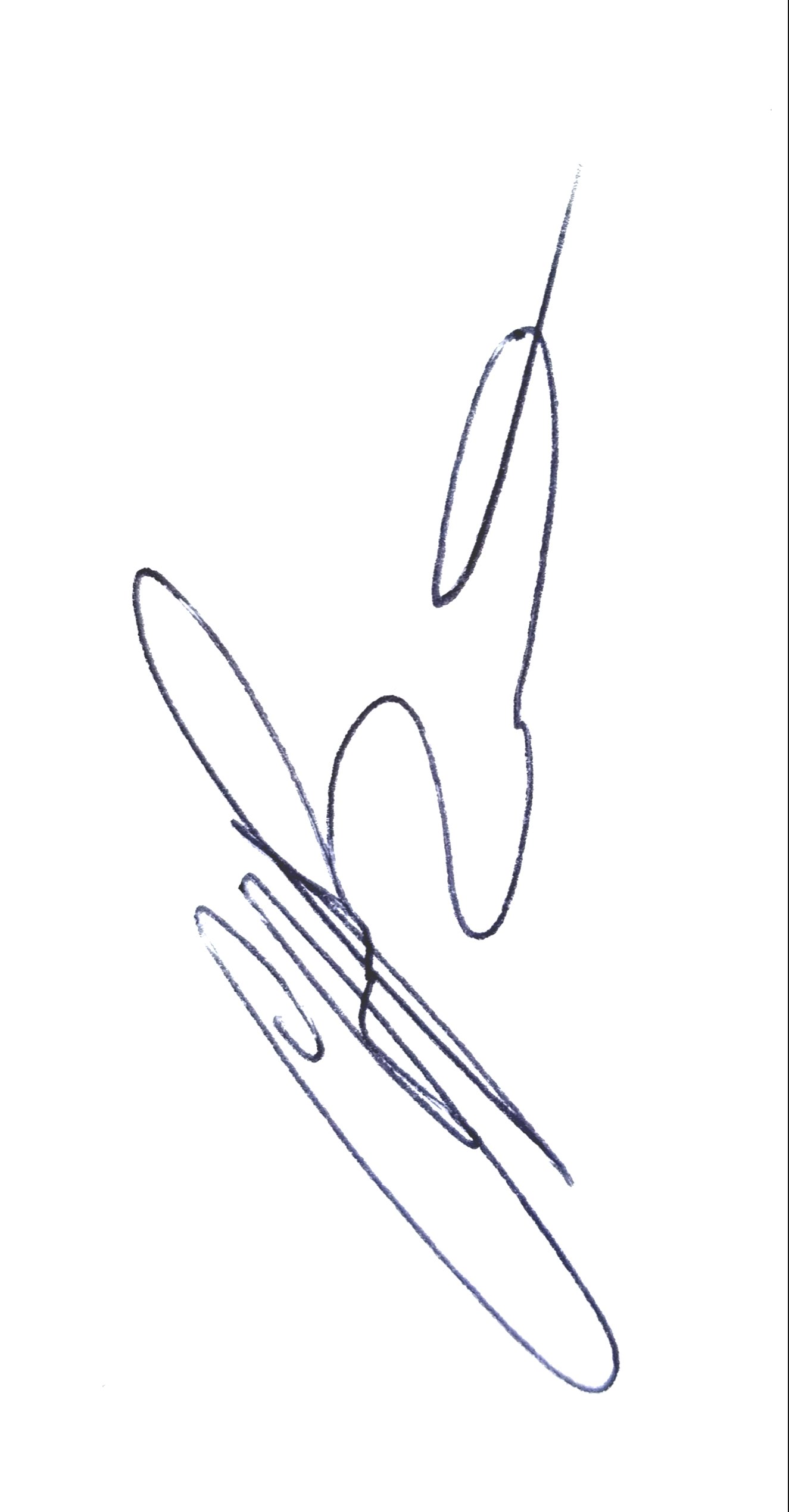 Chris Burns signature